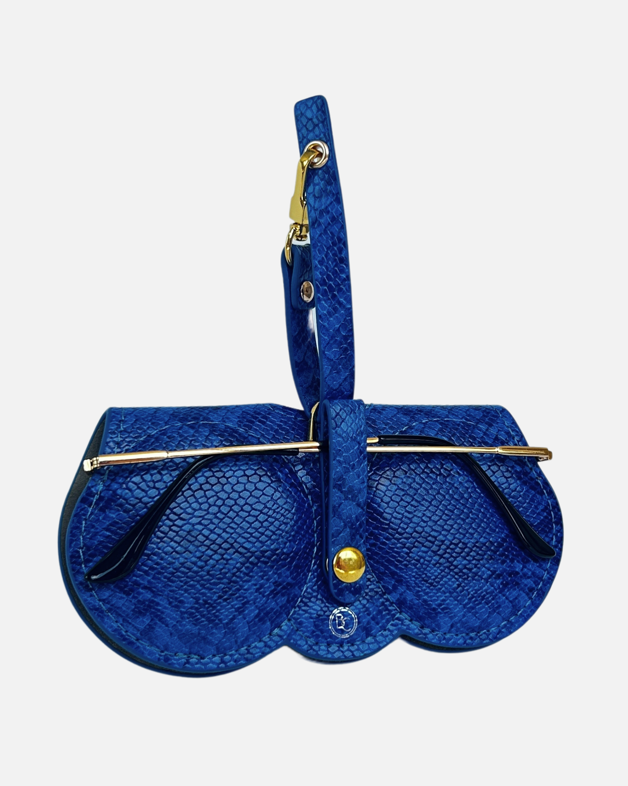 Blue Python Brilliance