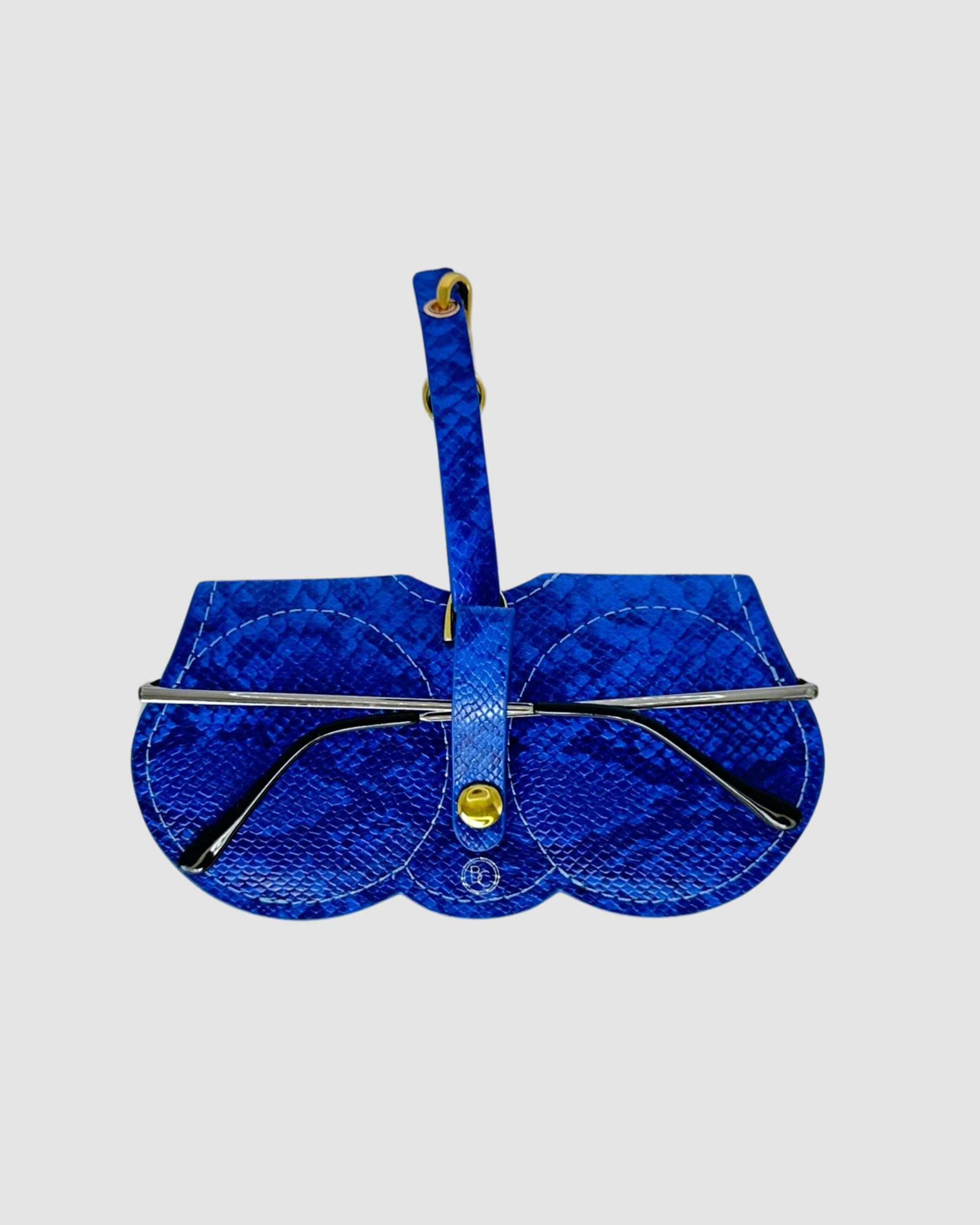 Blue Python Brilliance